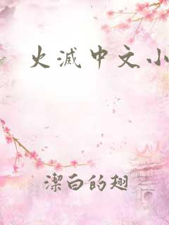 火灭中文小说