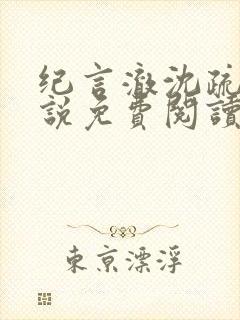 纪言澈沈疏宁小说免费阅读最新章节