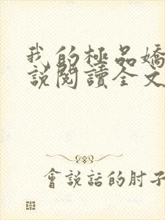 我的极品娇妻小说阅读全文免费