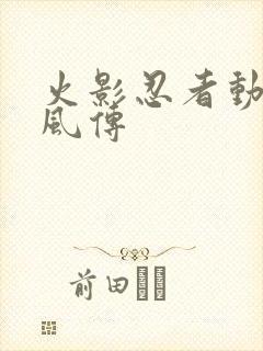 火影忍者动画疾风传