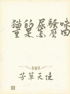 猫的尿骚味特别重是怎么回事