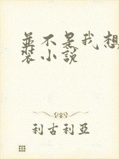 并不是我想穿女装小说