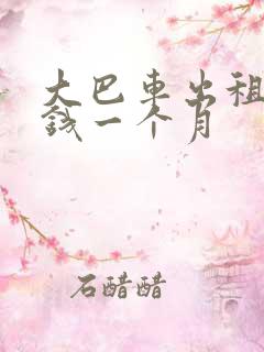 大巴车出租多少钱一个月