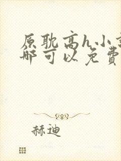 原耽高h小说在哪可以免费阅读