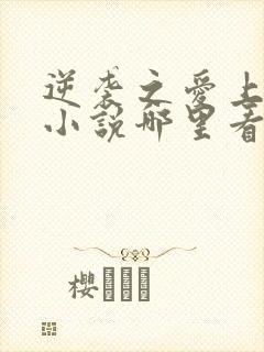 逆袭之爱上情敌小说哪里看