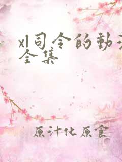 xl司令的动漫全集