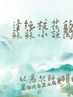 清纯校花的日常苏苏小说阅读全文