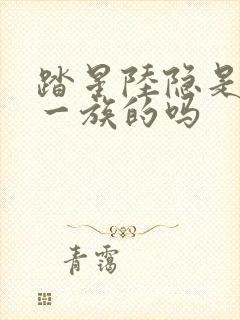 踏星陆隐是紫山一族的吗