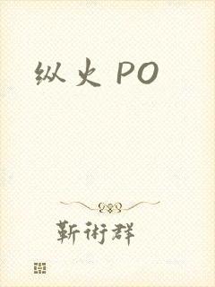 纵火 PO