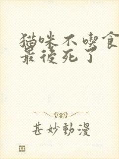 猫咪不吃食尿黄最后死了