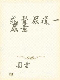 感觉尿道一直有尿意