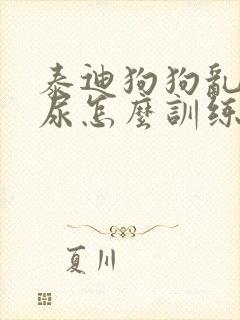 泰迪狗狗乱拉乱尿怎么训练