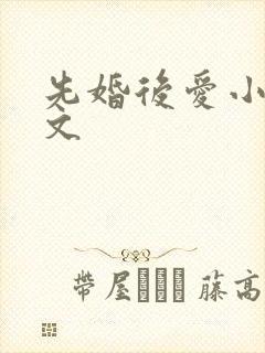 先婚后爱小说甜文