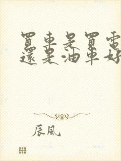 买车是买电车好还是油车好