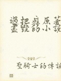 过把瘾原著三观尽毁的小说