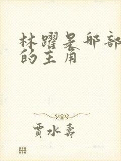 林跃是哪部小说的主角