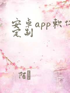 安卓app软件定制