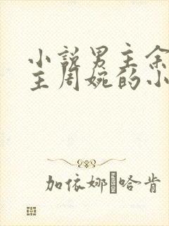 小说男主余年女主周婉的小说