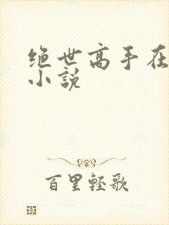 绝世高手在都市小说