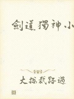 剑道独神小说