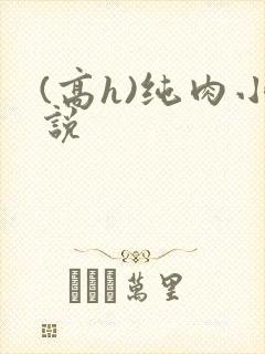 (高h)纯肉小说