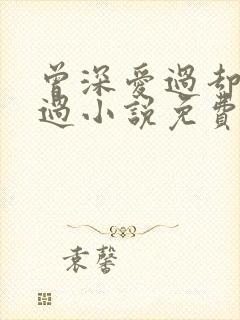 曾深爱过却终错过小说免费阅读全文最新章节