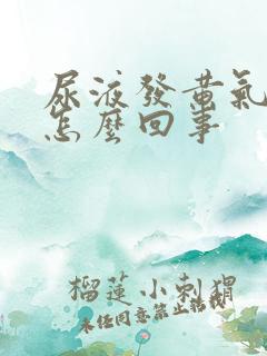 尿液发黄气味大怎么回事