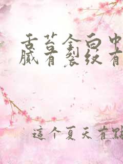 舌苔全白中间黄腻有裂纹有齿痕