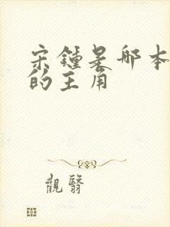 宋钟是哪本小说的主角