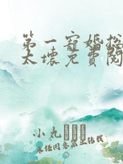 第一宠婚总裁别太坏免费阅读全文