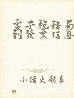 电子税务局查不到发票信息怎么回事