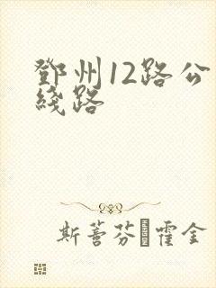 邓州12路公交线路