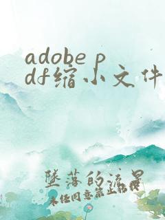 adobe pdf缩小文件大小