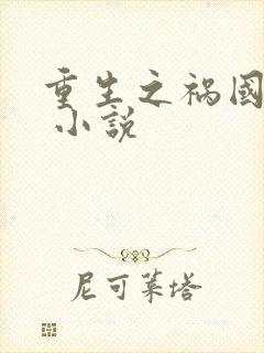 重生之祸国妖妃 小说