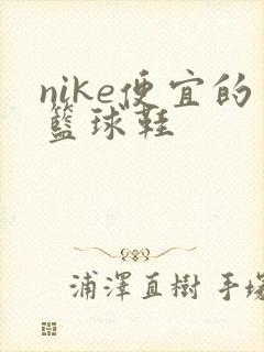 nike便宜的篮球鞋