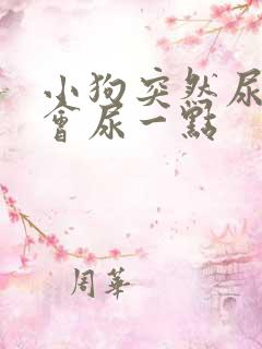 小狗突然尿频一会尿一点