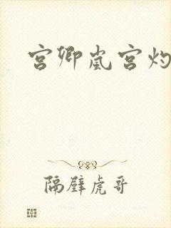 宫卿岚宫灼小说