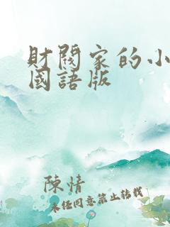 财阀家的小儿子国语版