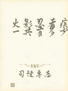 火影忍者疾风传一共有多少集