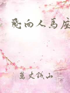 飞向人马座