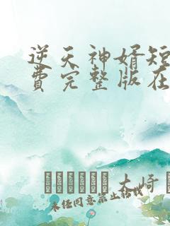 逆天神婿短剧免费完整版在线观看