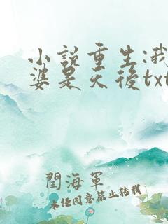 小说重生:我老婆是天后txt免费阅读