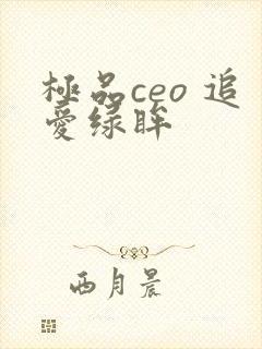 极品ceo 追爱绿眸