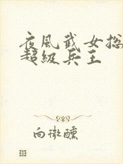 夜风武女总裁的超级兵王