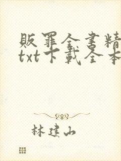 贩罪全书精校版txt下载全本