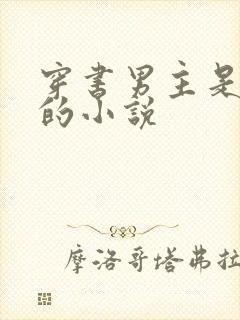 穿书男主是首辅的小说