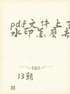 pdf文件上有水印怎么去除