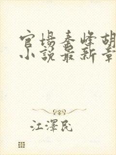 官场秦峰胡佳云小说最新章节内容