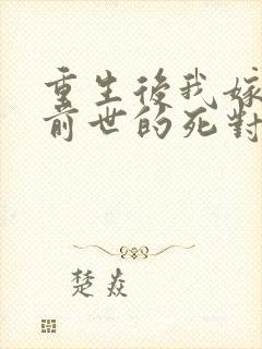 重生后我嫁给了前世的死对头