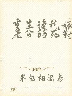 重生后我嫁给了老公的死对头 短剧